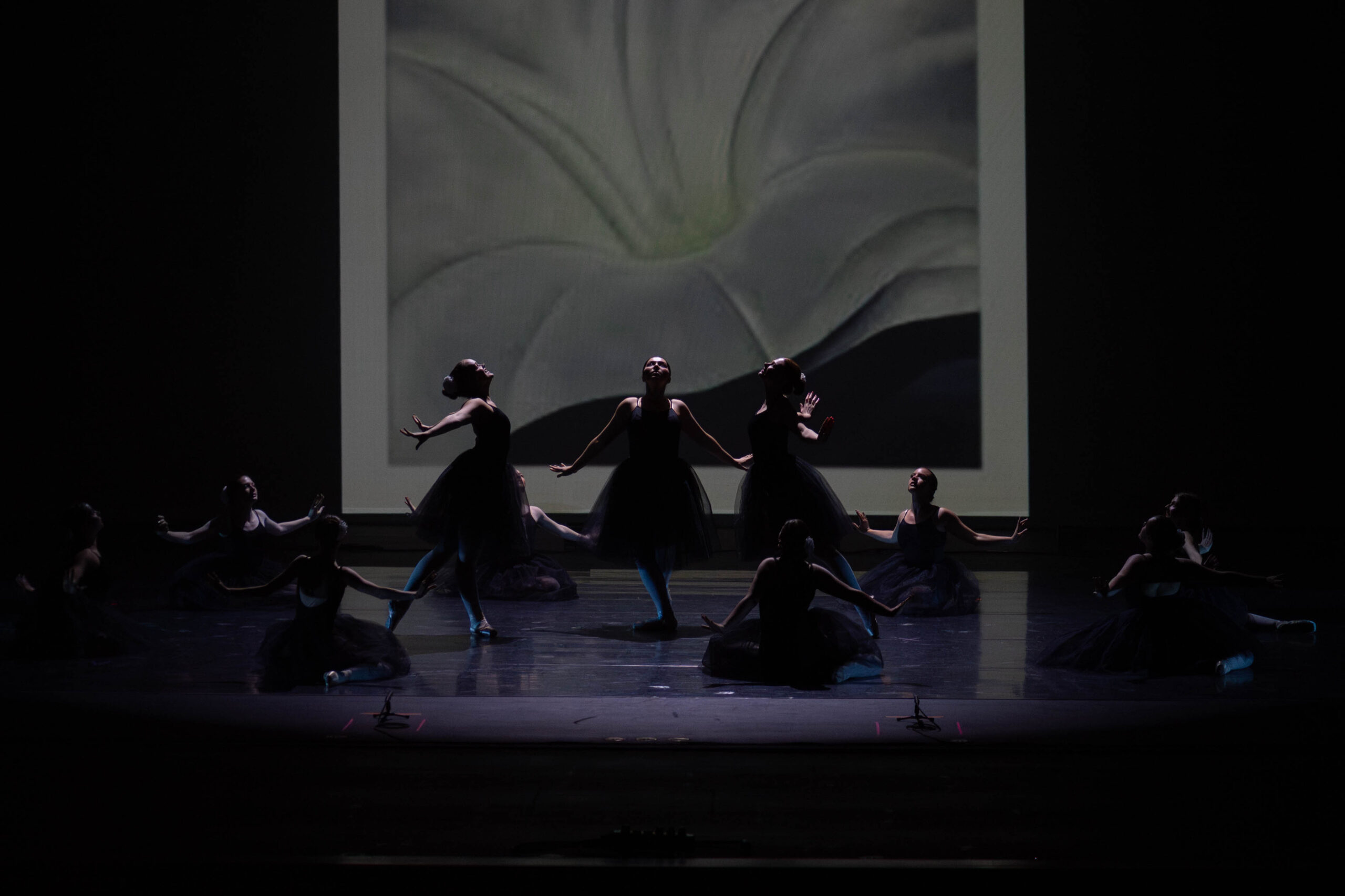 Wabash Valley Dance Theatre